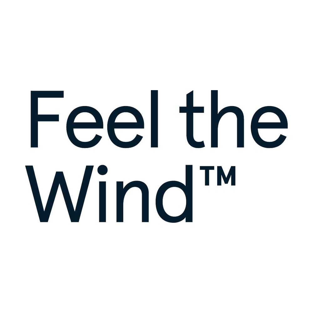 feel-the-wind